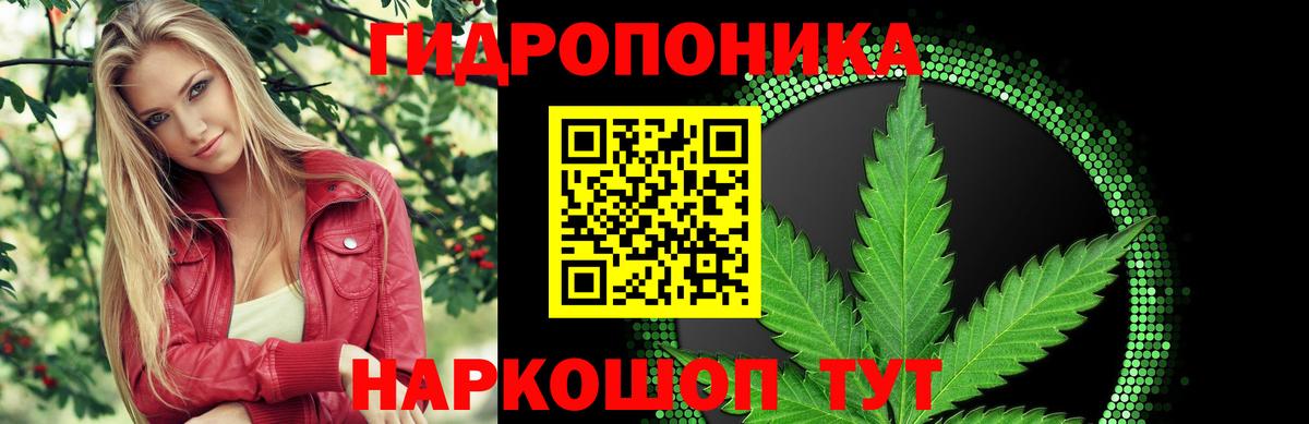 Шишки марихуана SATIVA & INDICA  МАРИХУАНА марихуана  Вход с VPN  Бошки марихуана OG Kush  Каннабис SATIVA & INDICA  Чистополь 